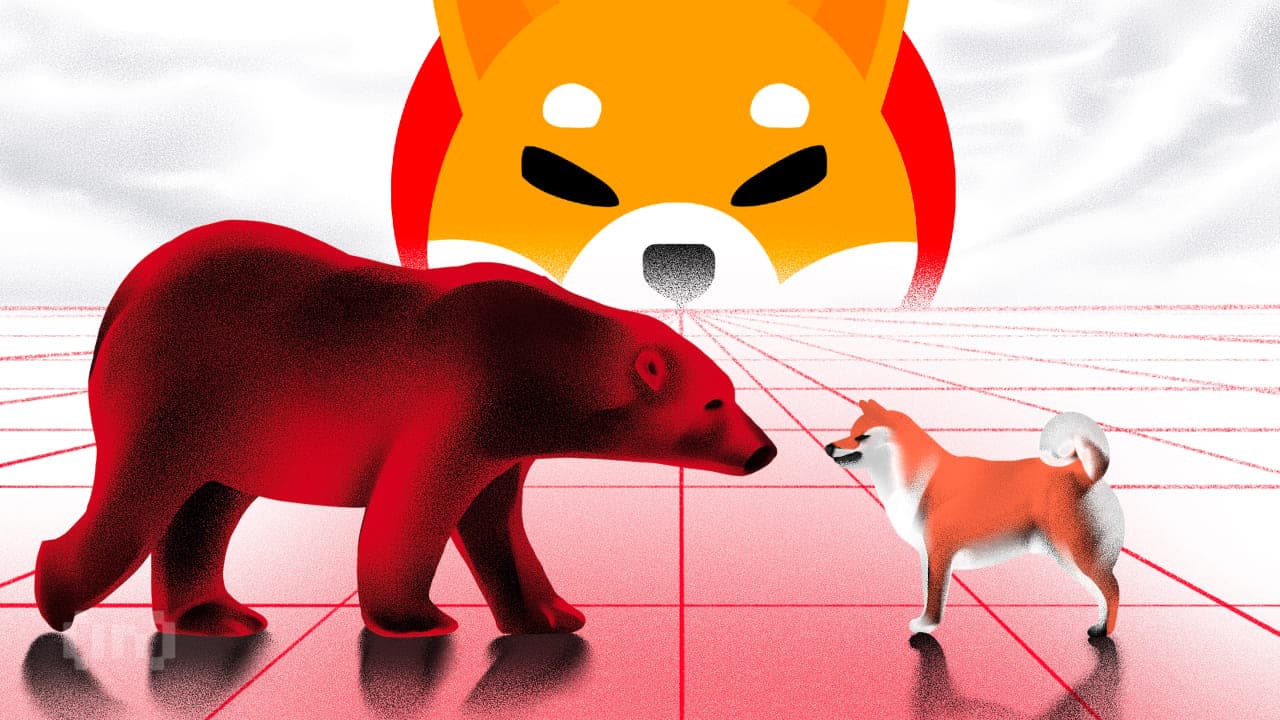 Shiba Inus fremtid ser dyster ut: Årsaken er lav nettverksaktivitet