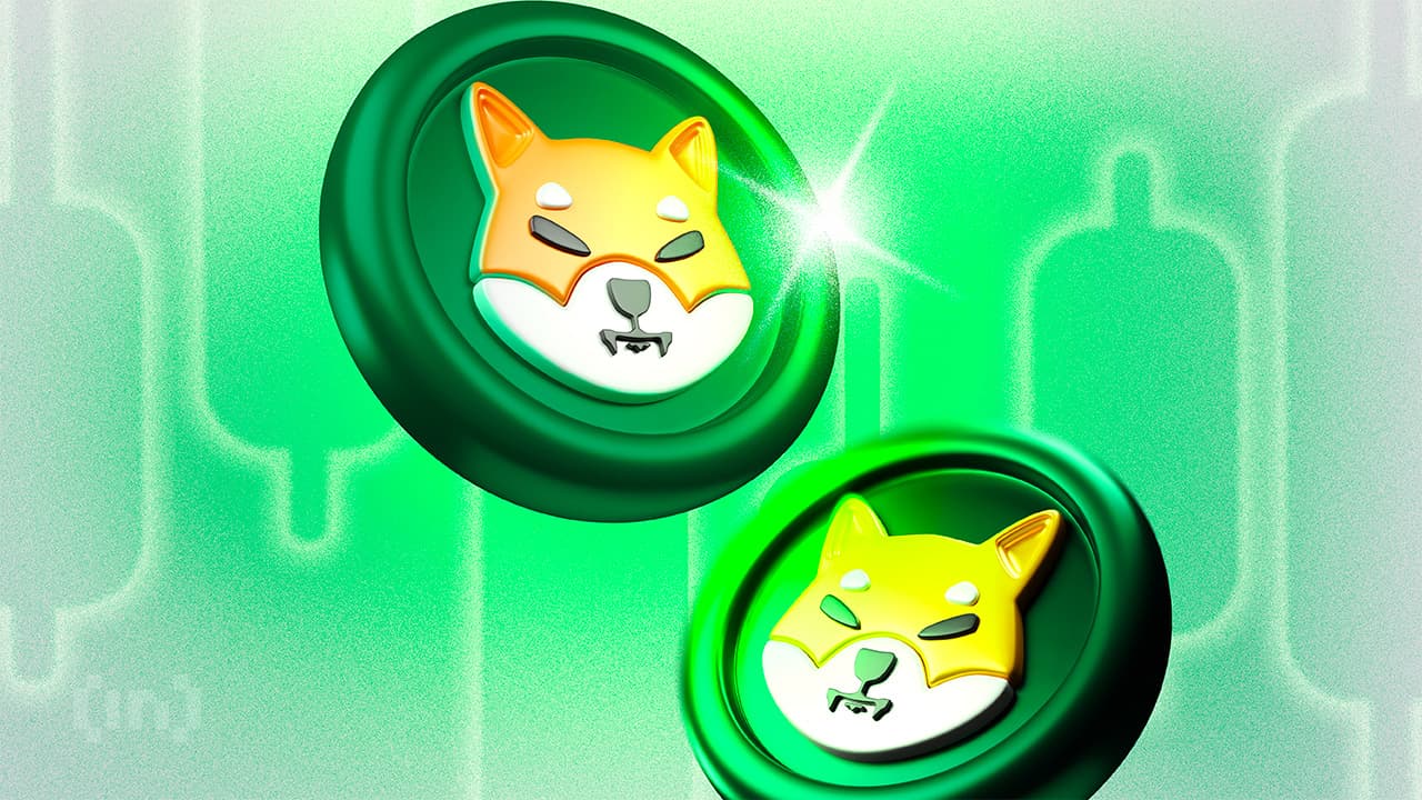 Shiba Inu faller—men hvalaktivitet og HODLing-mønster antyder at oppgang er nær
