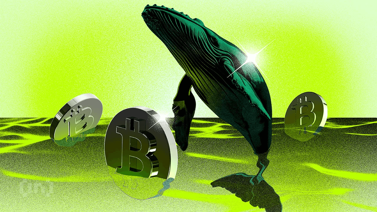 Nye Bitcoin-hvaler holder nå majoriteten av BTC-kapitalen | Ukentlig hvalovervåking