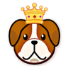 Doge King