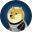 DOGE-1