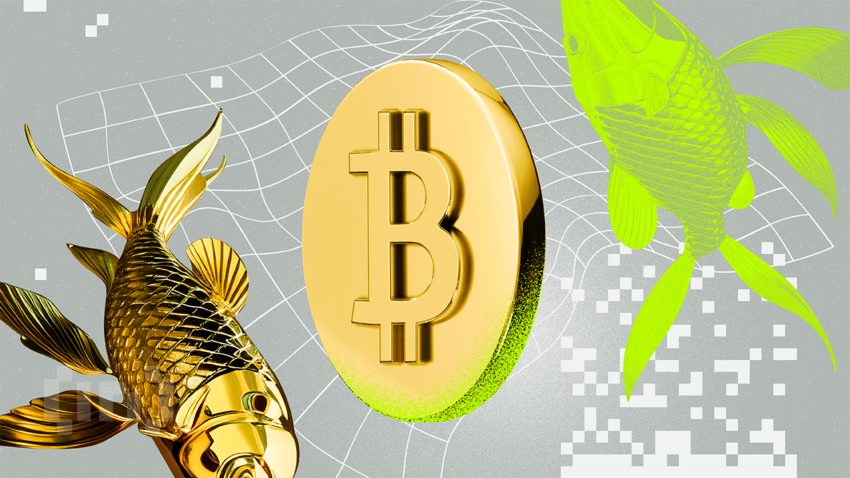 Bitcoin vil følge gulls oppgang med 100 dagers forsinkelse i likviditetsboom, sier analytiker