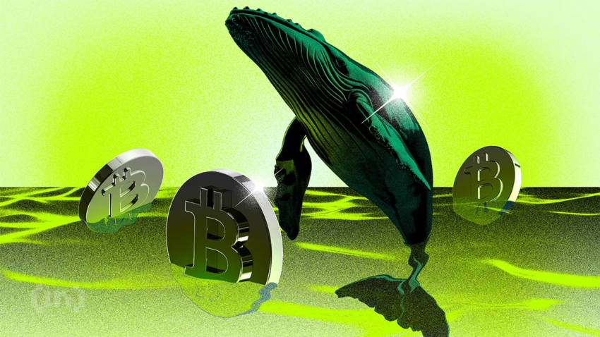 Nye Bitcoin-hvaler holder nå majoriteten av BTC-kapitalen | Ukentlig hvalovervåking