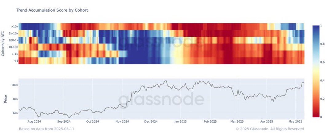 Bitcoin Trend Accumulation Score by Cohort. Source: Glassnode.