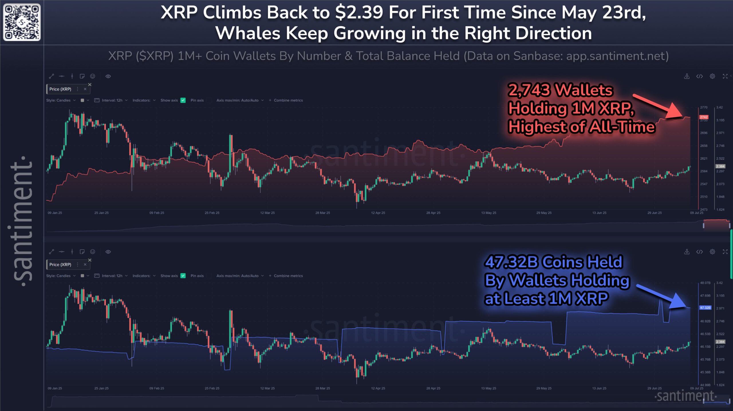 XRP Whale Addresses