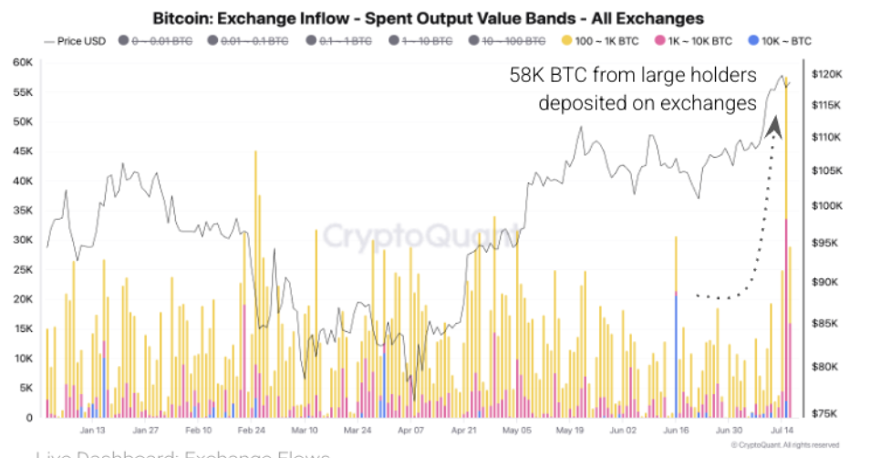 Bitcoin Whales Transfer to Exchanges.