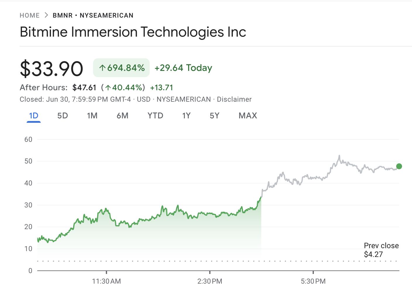 BitMine Immersion Technologies Stock Performance