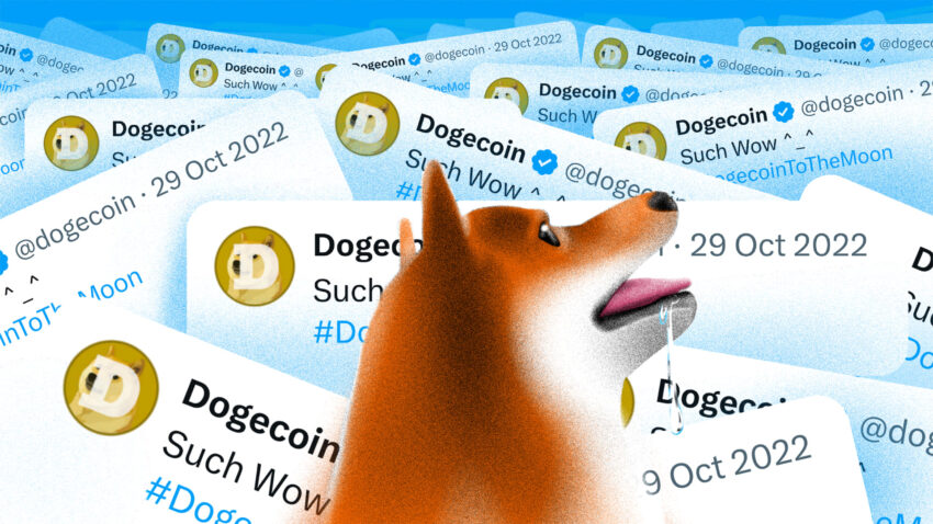 Dogecoin FOMO på vei? Viktige hendelser i august å følge nøye med på